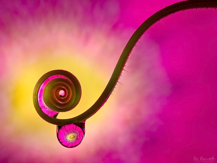 ภาพธรรมชาติ ภาพธรรมชาติ