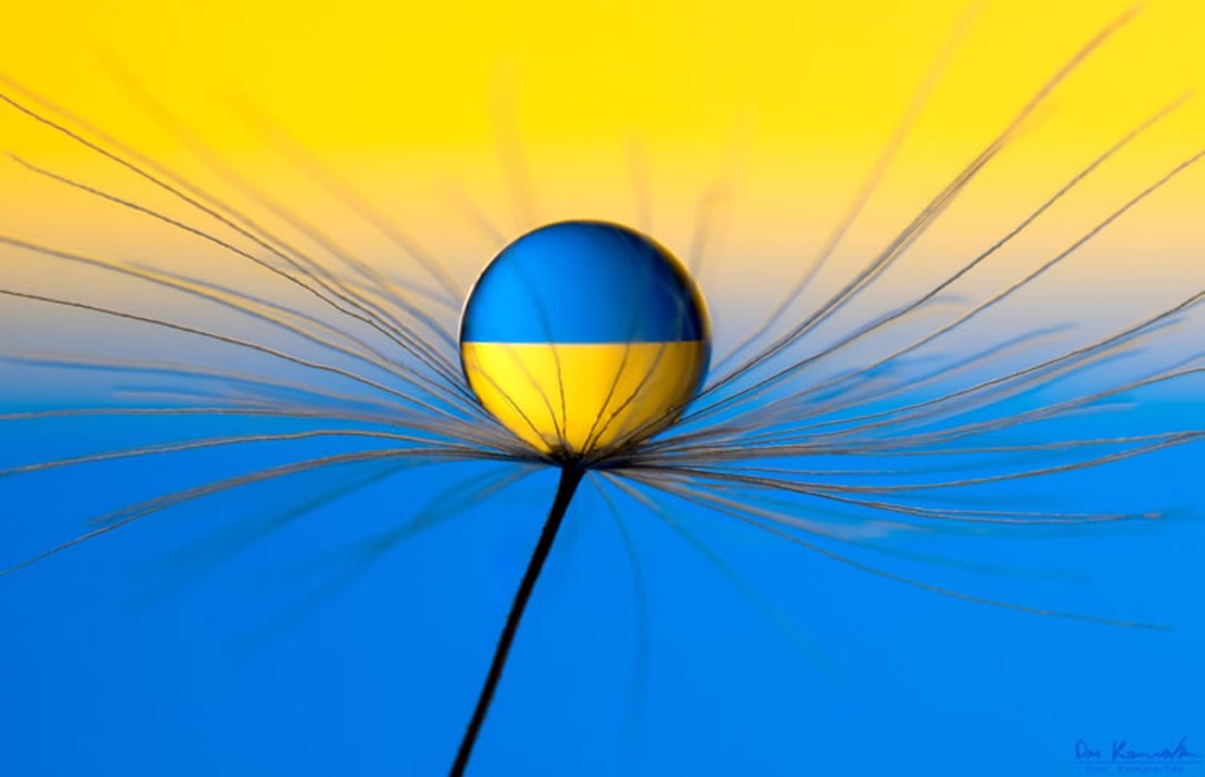 ถ่ายภาพมาโครหยดน้ำได้อย่างสวยงาม